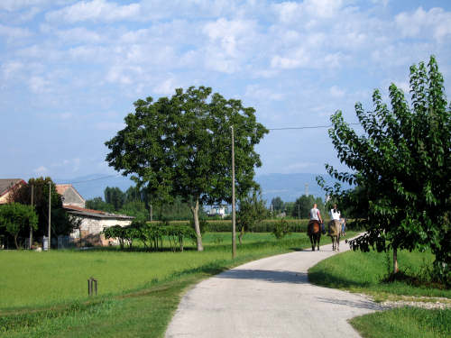 Ciclovia Valbrenta, Bassano del Grappa, Friola
