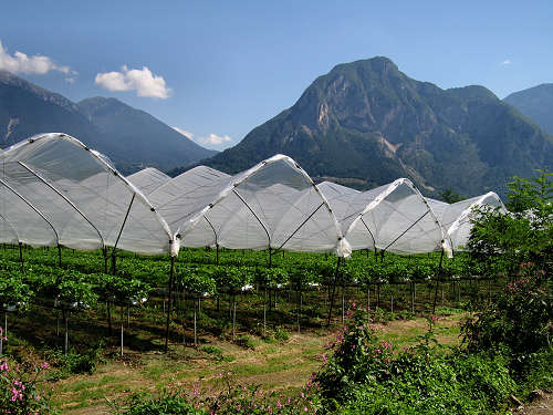 pista ciclabile della Valsugana