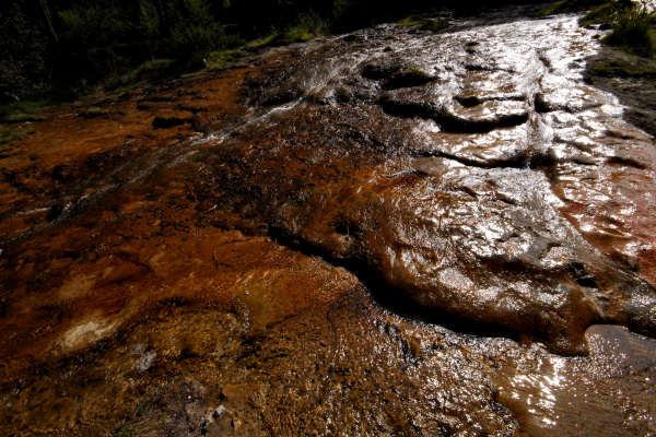 area archeologica nauturalistica di Lagole a Calalzo di Cadore, Belluno Dolomiti