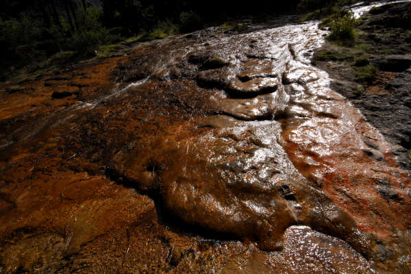 area archeologica nauturalistica di Lagole a Calalzo di Cadore, Belluno Dolomiti
