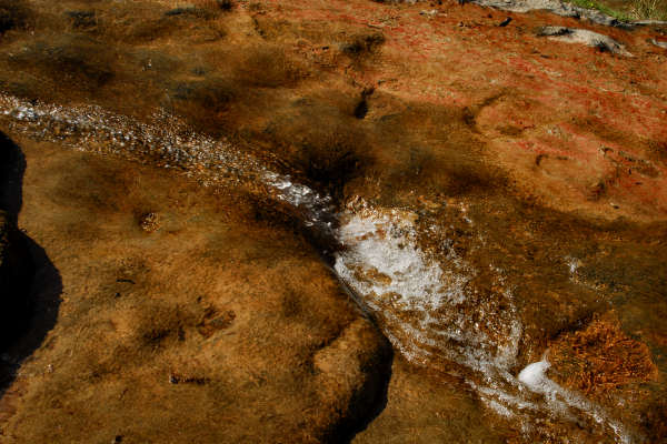 area archeologica nauturalistica di Lagole a Calalzo di Cadore, Belluno Dolomiti