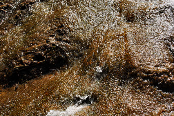 area archeologica nauturalistica di Lagole a Calalzo di Cadore, Belluno Dolomiti