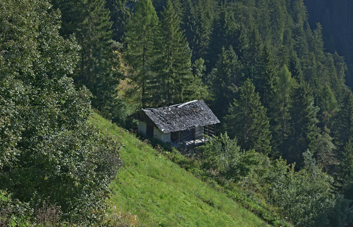 Comelico, escursione da Costa a monte Zovo e al rifugio DeDoo