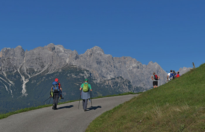Comelico, escursione da Costa a monte Zovo e al rifugio DeDoo