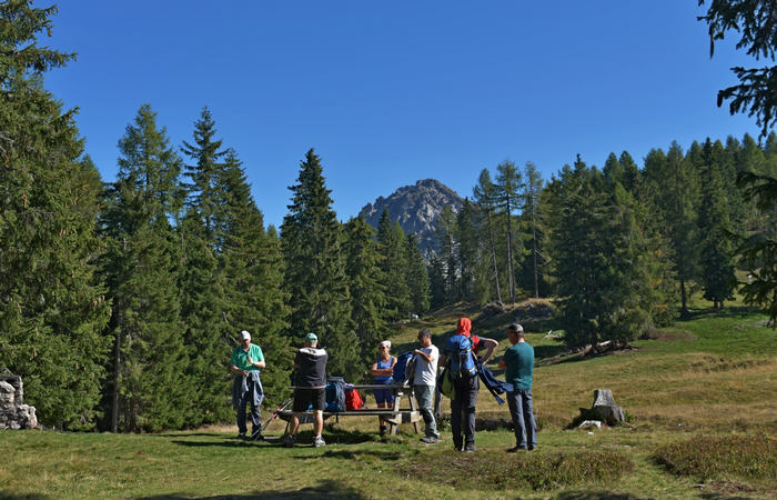 Comelico, escursione da Costa a monte Zovo e al rifugio DeDoo