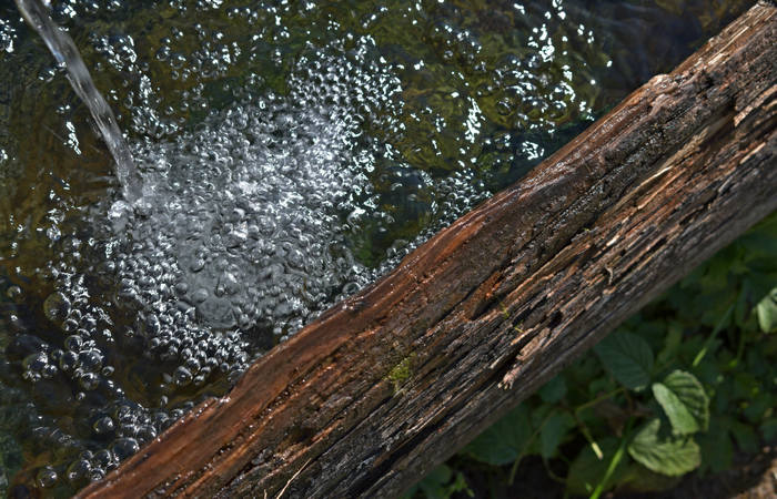 Comelico, escursione da Costa a monte Zovo e al rifugio DeDoo