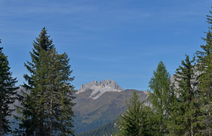 Comelico, escursione da Costa a monte Zovo e al rifugio DeDoo