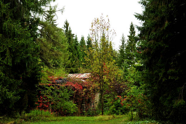 ex forte Col Vaccher a Pieve di Cadore