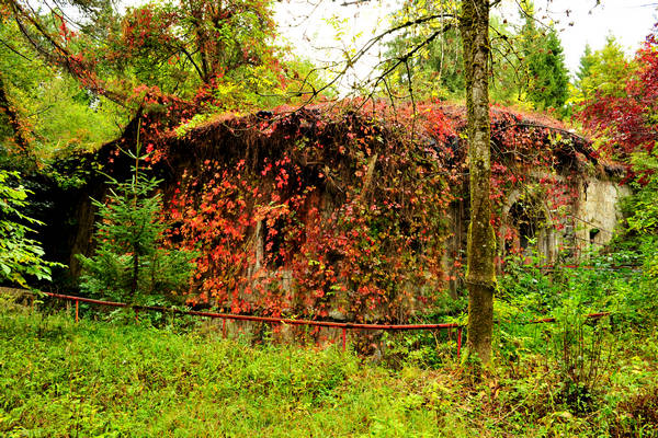 ex forte Col Vaccher a Pieve di Cadore