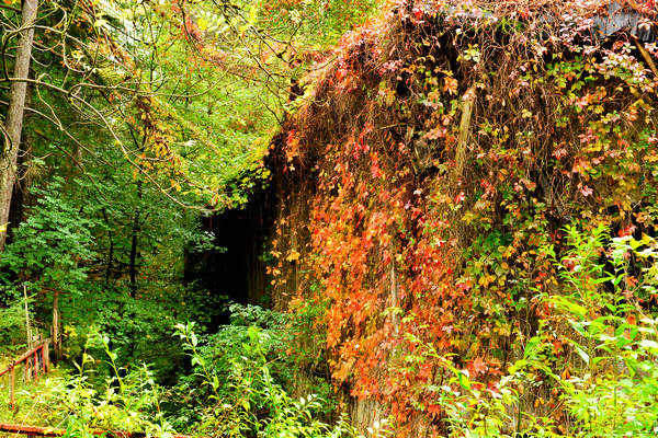 ex forte Col Vaccher a Pieve di Cadore
