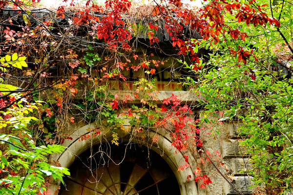 ex forte Col Vaccher a Pieve di Cadore