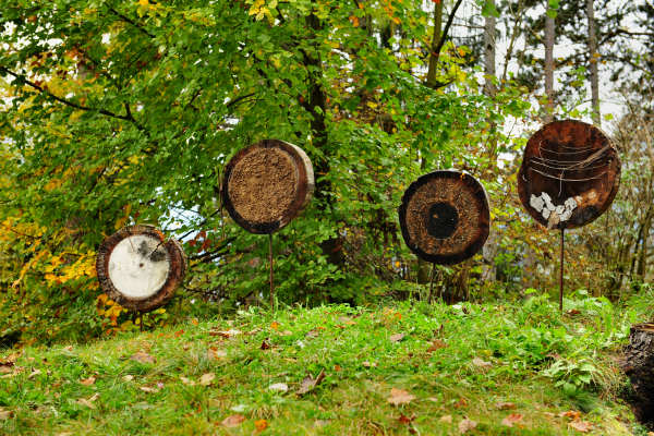 Pieve di Cadore, parco Roccolo monte Rico monte Castello