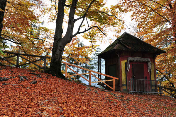 Pieve di Cadore, parco Roccolo monte Rico monte Castello