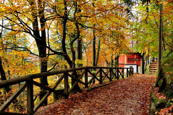 Pieve di Cadore, parco Roccolo monte Rico monte Castello