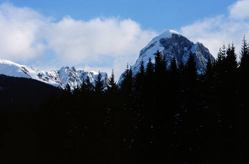 Val Visdende monte Peralba fiume Piave - San Pietro di Cadore Santo Stefano Sappada, Cadore Comelico Dolomiti Bellunesi