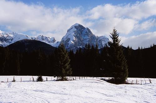 Val Visdende monte Peralba fiume Piave - San Pietro di Cadore Santo Stefano Sappada, Cadore Comelico Dolomiti Bellunesi