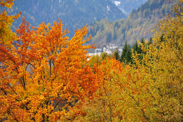 Valle di Cadore, Valboite