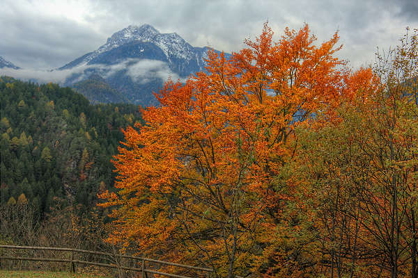 Valle di Cadore, Valboite
