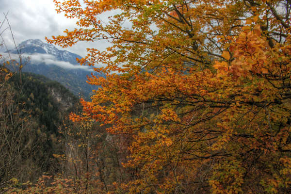Valle di Cadore, Valboite