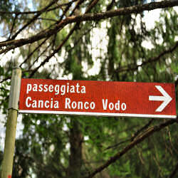 San Vito, Borca, Vodo di Cadore Dolomiti Belluno