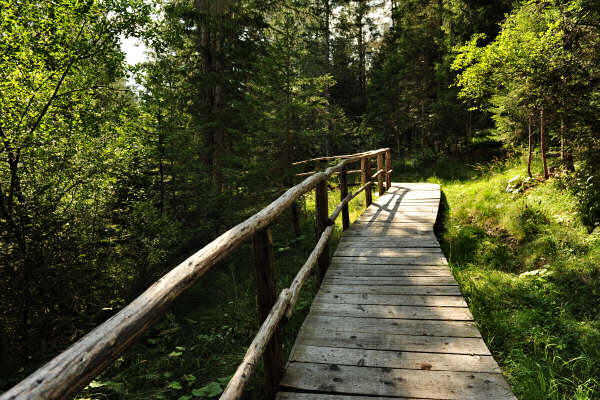 percorso Nordic Walking San Vito, Borca, Vodo di Cadore Dolomiti