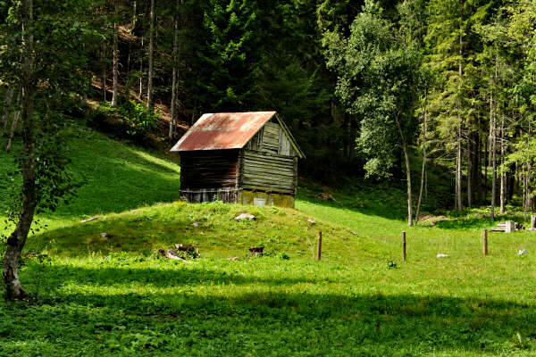 percorso Nordic Walking San Vito, Borca, Vodo di Cadore Dolomiti