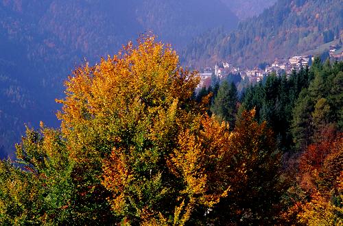 la valle del Boite nei pressi di Vodo di Cadore