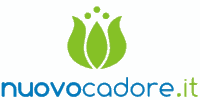 NuovoCadore