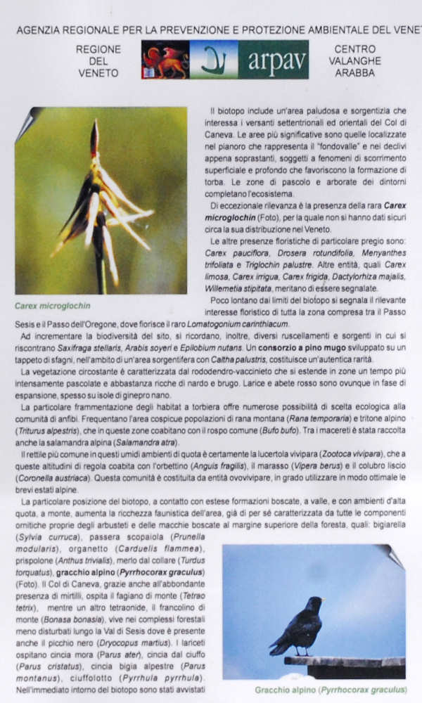 biotopo delle sorgenti del fiume Piave al passo Oregone, Sappada val Sesis e val Visdende