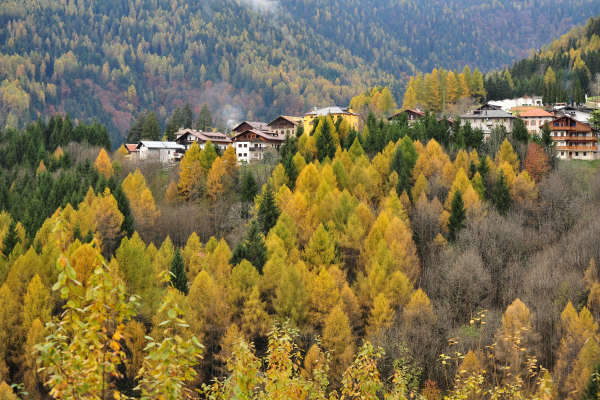 Valle di Cadore, Valboite