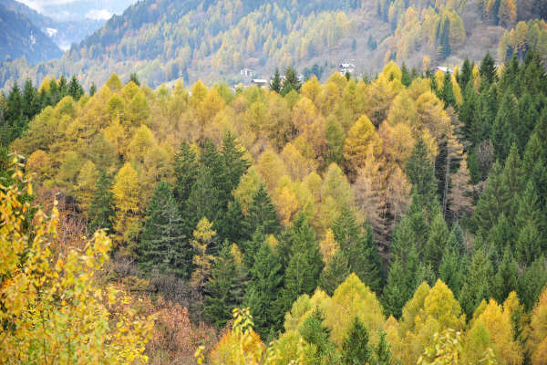 Valle di Cadore, Valboite