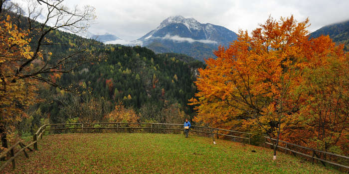 Valle di Cadore, valle del Boite, Belluno Dolomiti