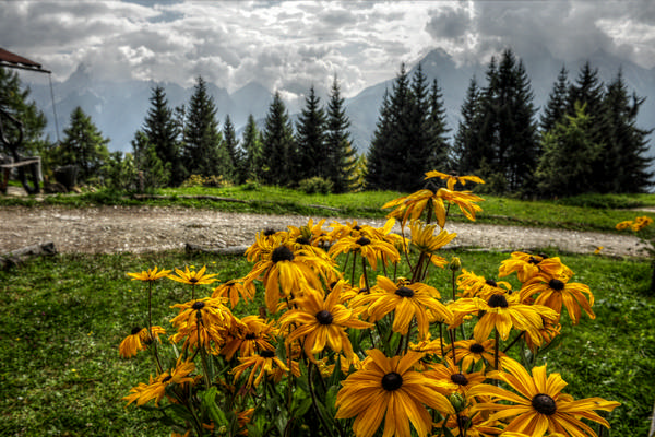 rifugio Costapiana a Valle di Cadore, Antelao Valboite Dolomiti