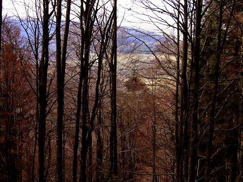 autunno in Valmenera nella Piana del Cansiglio