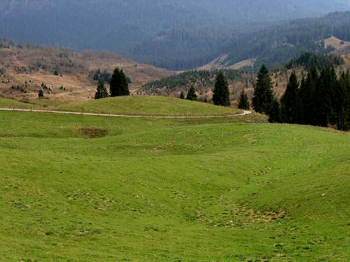 autunno in Valmenera nella Piana del Cansiglio