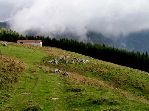 autunno in Valmenera nella Piana del Cansiglio