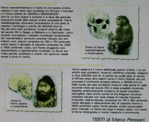 Pian Cansiglio - Foresta del Cansiglio