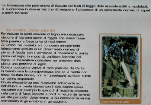 Pian Cansiglio - Foresta del Cansiglio