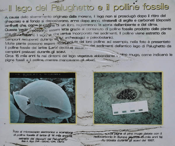 Palughet, Cansiglio, geologia e preistoria