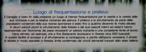 Pian Cansiglio - Foresta del Cansiglio