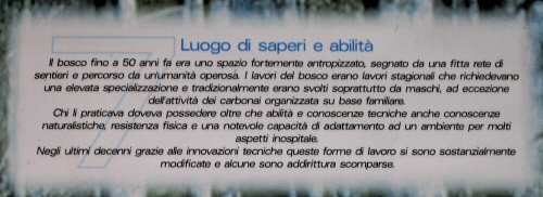 Pian Cansiglio - Foresta del Cansiglio