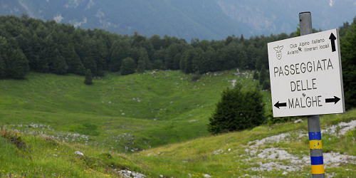 passeggiata delle malghe al Piancavallo