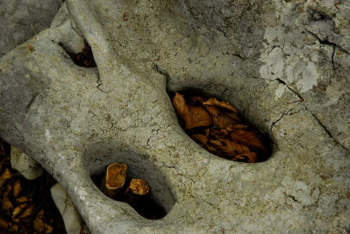 passeggiata delle malghe al Piancavallo