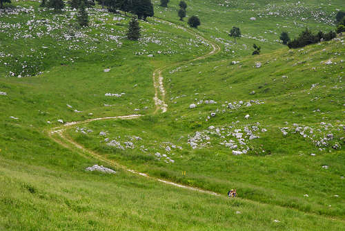 passeggiata delle malghe al Piancavallo