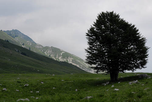 passeggiata delle malghe al Piancavallo