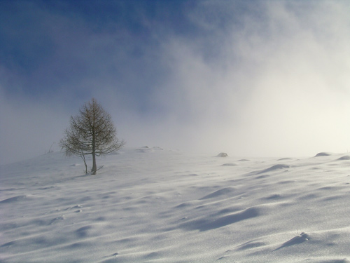 sentiero delle malghe al Piancavallo