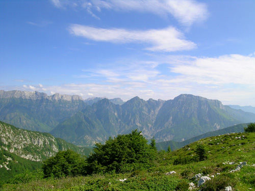 Pala d'Altei - Cansiglio