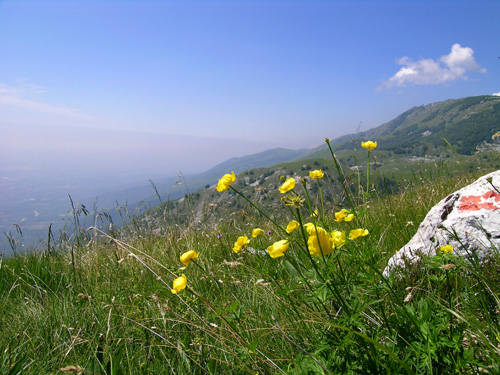 Casera Giais - Cansiglio