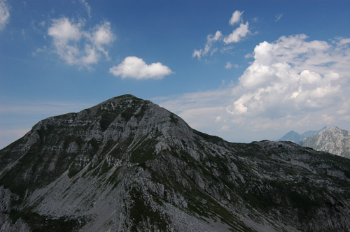 dal monte Laste