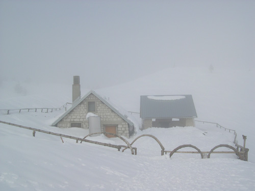 Pian Cavallo - Col dei Scios